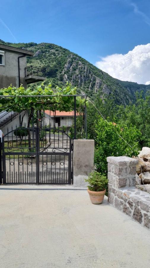 Anastasija 2 * Kotor